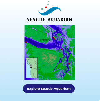 Seattle Aquarium exhibit