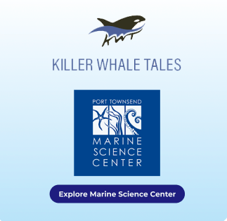 Marine Science Center exhibit
