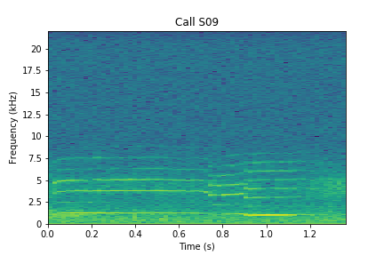 A spectrogram is a graph that visually shows sound Spectrogram for S09